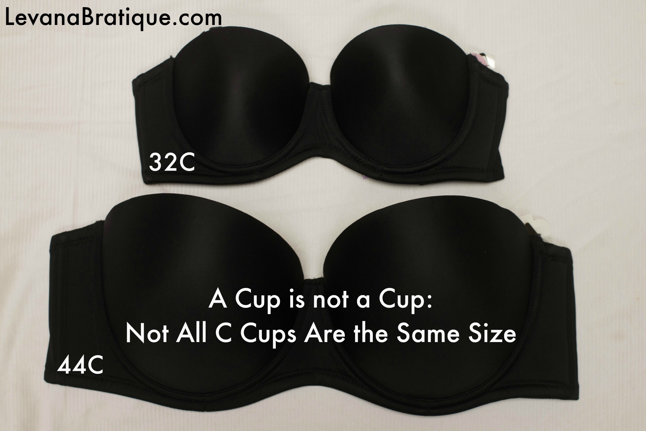 A Cup is Not a Cup Levana Bratique bras in every shape and size